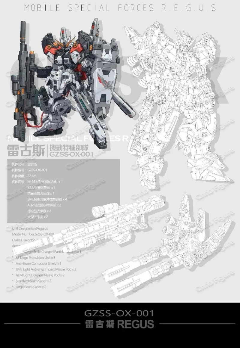 متوفر في المخزون ZZA REGUS GZS - مراجعة Model Kit Regus وسعره