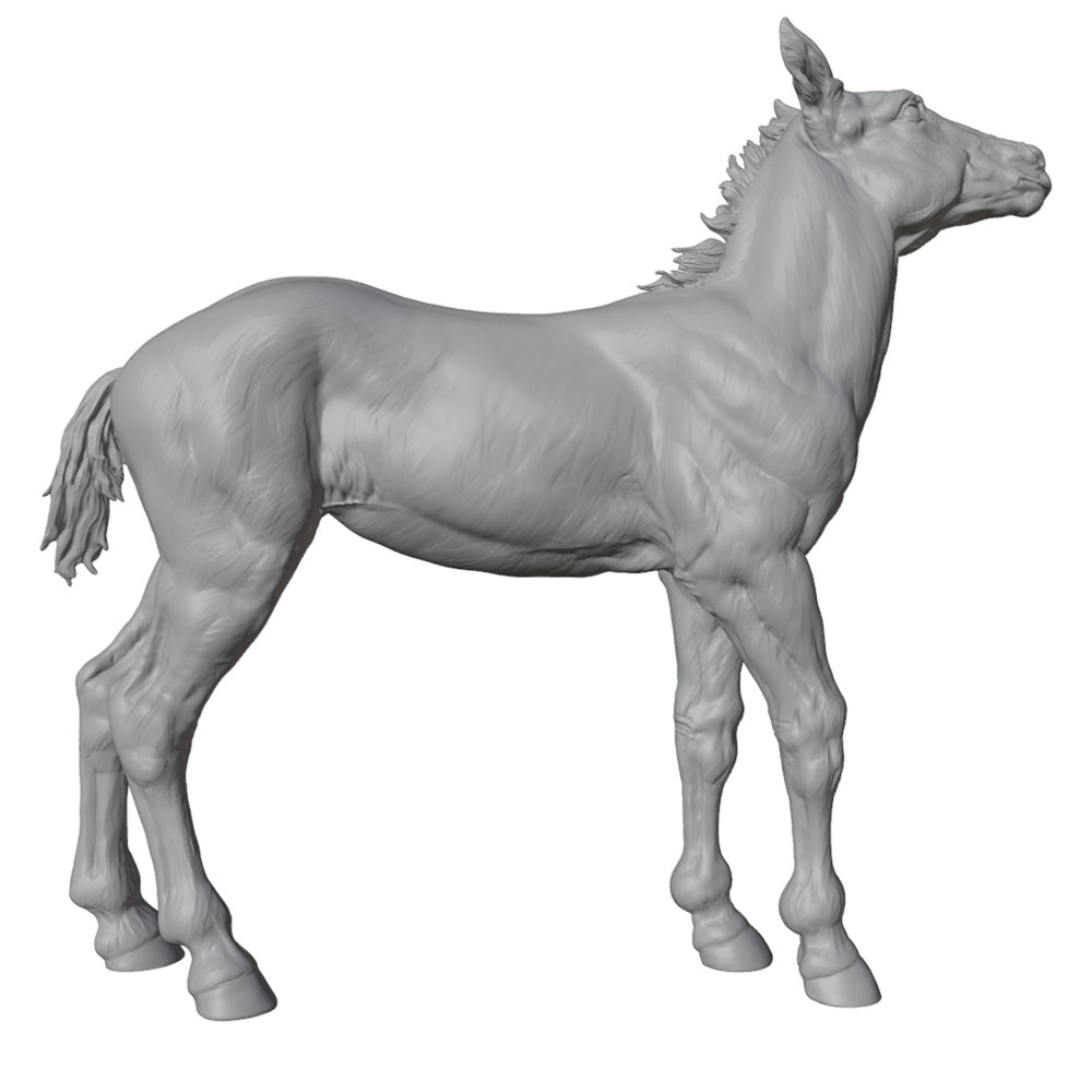 تمثال حصان مصغر من الراتنج بتف - مراجعة Model Kit Horse وسعره