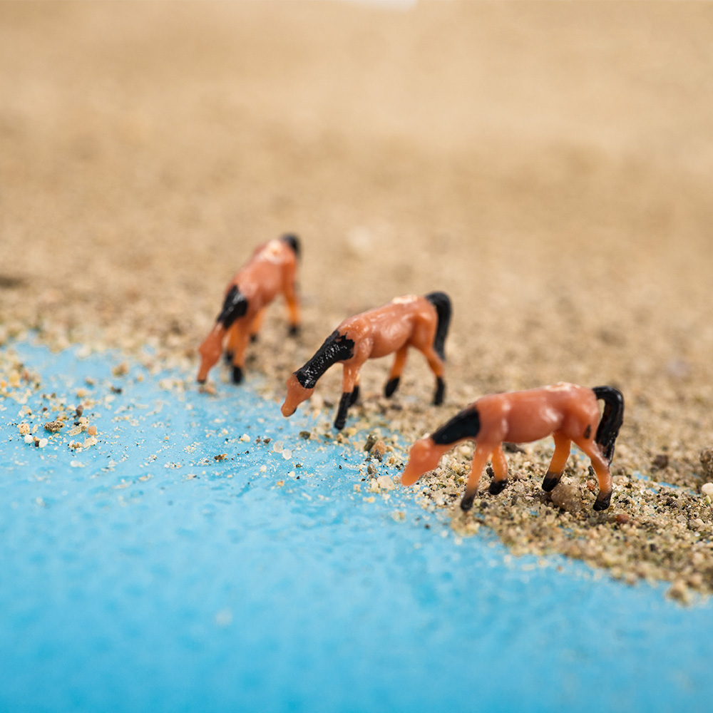 مقياس 1:150 نموذج حصان مصغر بن - مراجعة Model Kit Horse وسعره