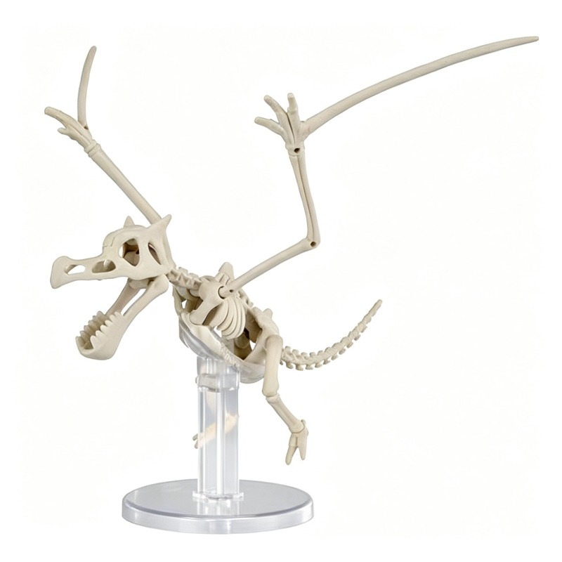 نموذج بلاستيكي جديد من بانداي  - مراجعة Model Kit Rayquaza وسعره